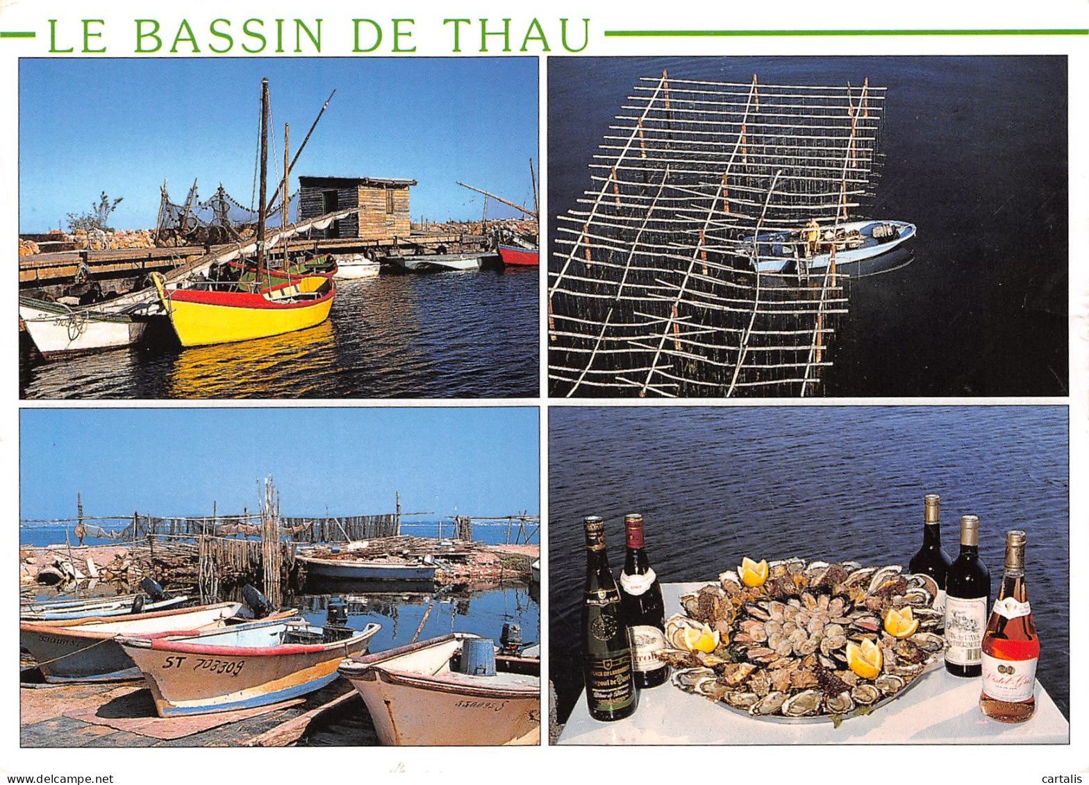 34-BASSIN DE THAU-N°3779-D/0245 - Other & Unclassified