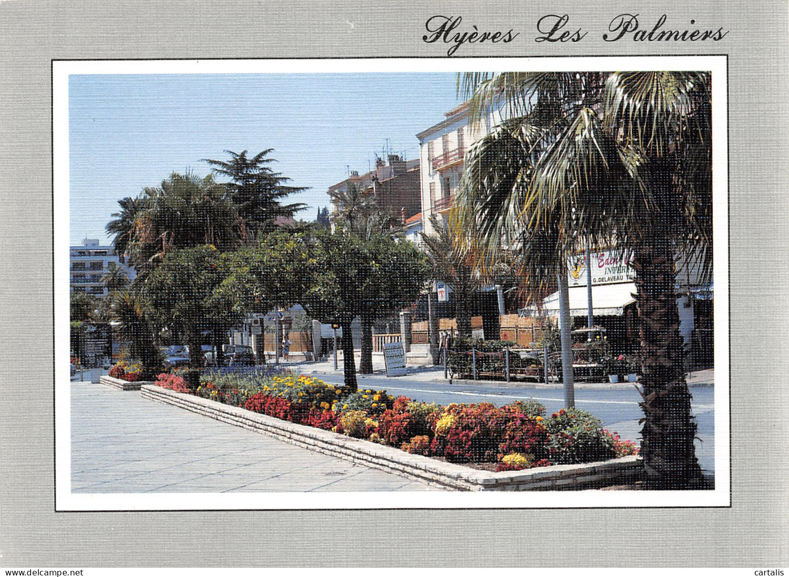 83-HYERES LES PALMIERS-N°3780-D/0017 - Hyeres