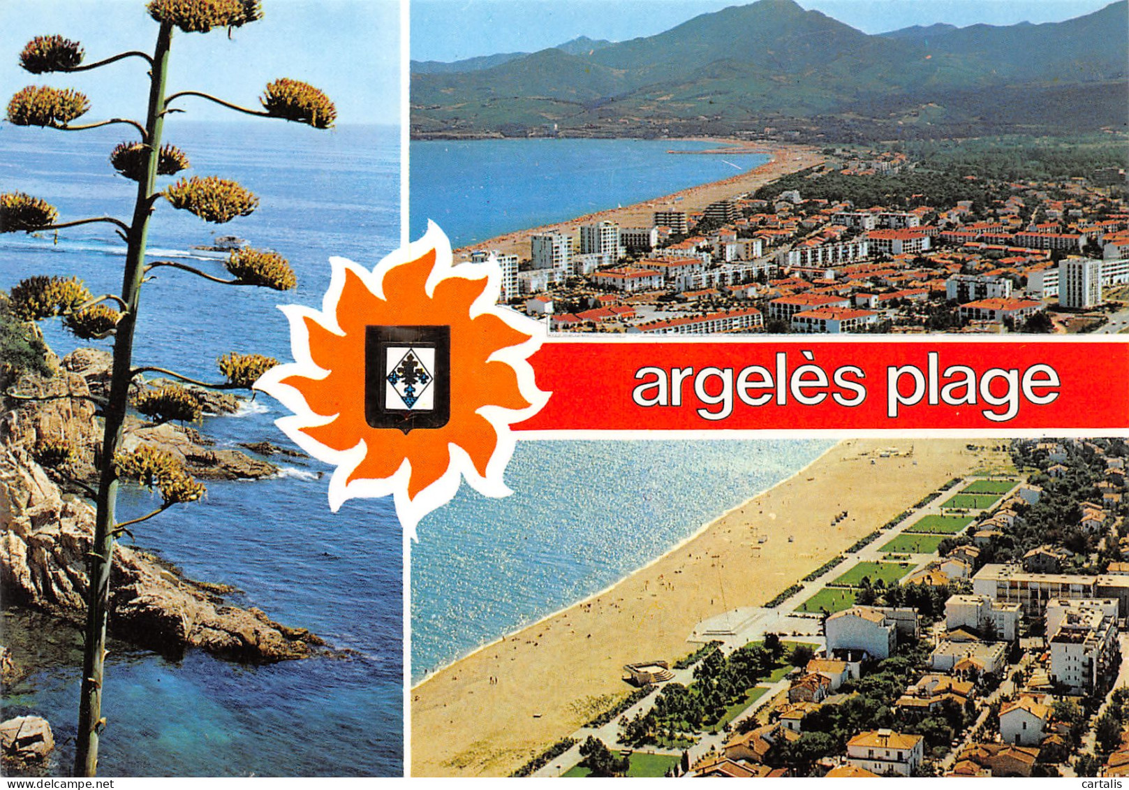 65-ARGELES PLAGE-N°3780-C/0377 - Other & Unclassified