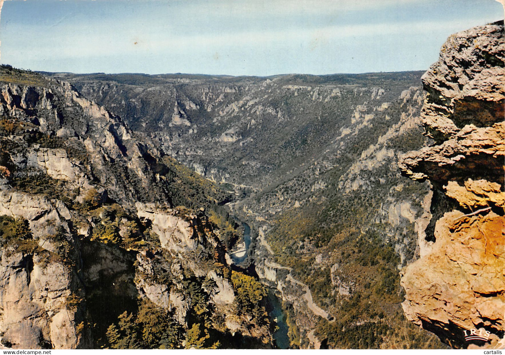 48-LES GORGES DU TARN-N°3780-C/0111 - Andere & Zonder Classificatie