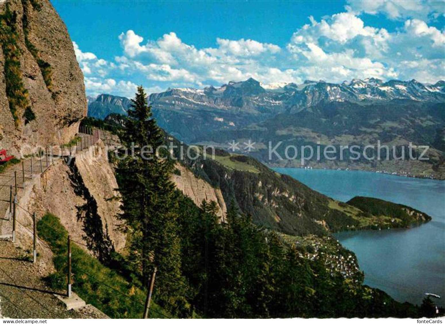 12880123 Vitznau Vierwaldstaettersee Rigi Felsenweg Urner Alpen Nidwaldner Alpen - Sonstige & Ohne Zuordnung