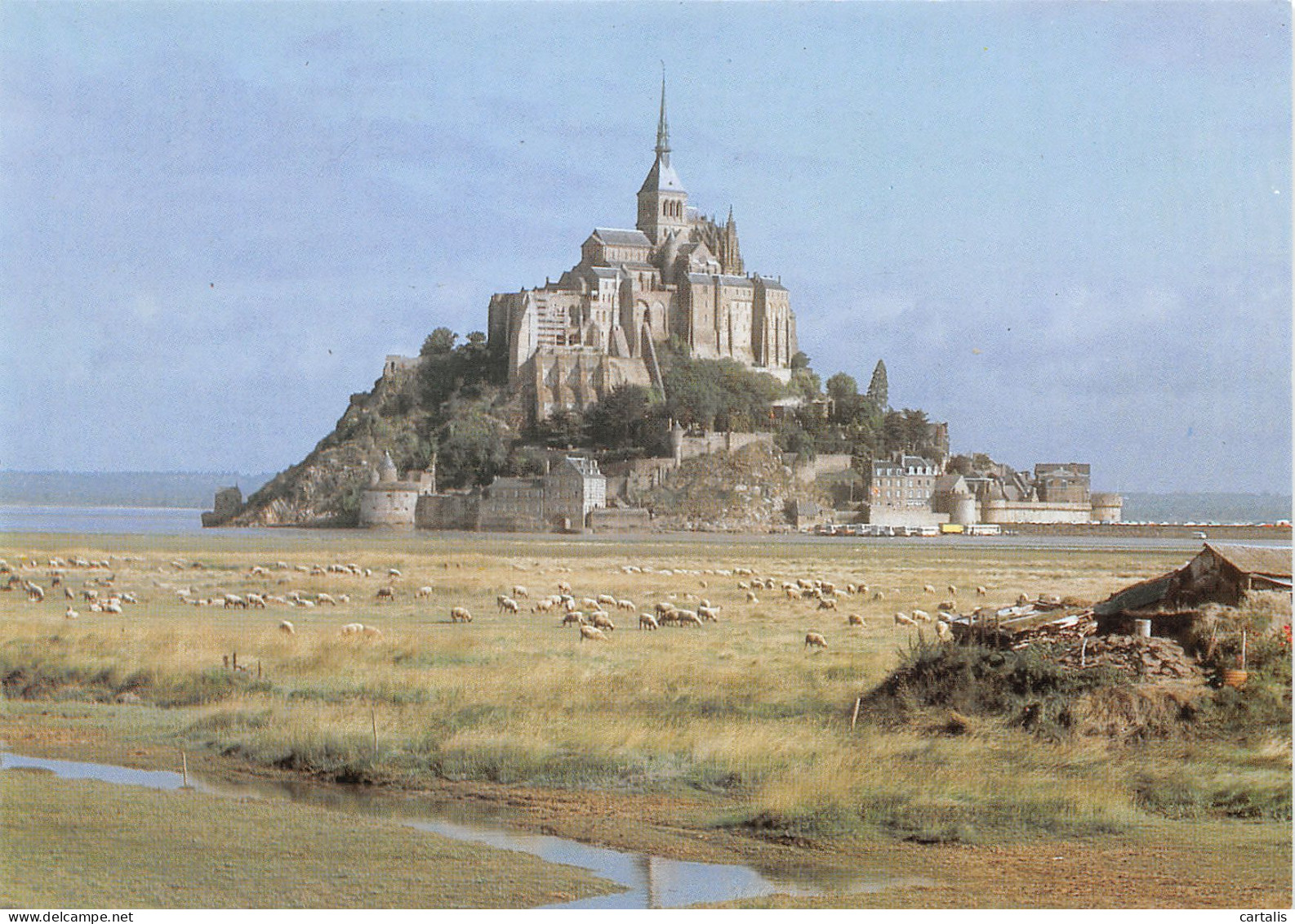 50-LE MONT SAINT MICHEL-N°3780-B/0369 - Le Mont Saint Michel
