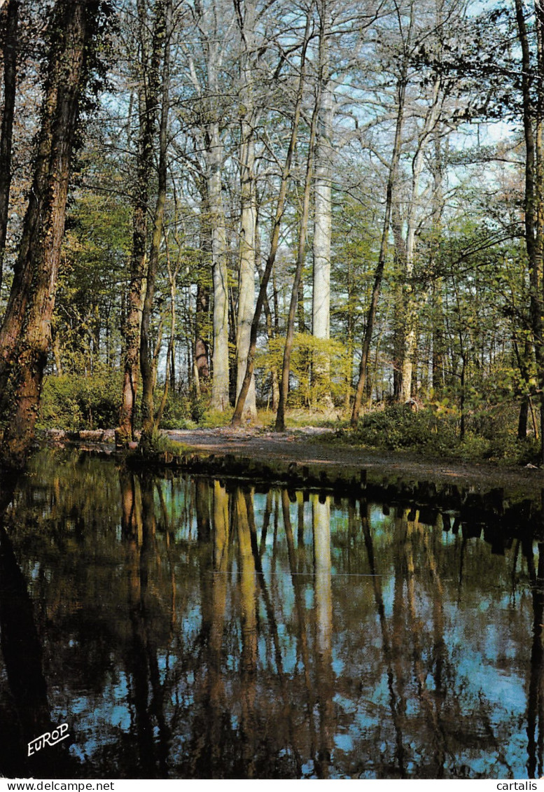 59-SAINT AMAND LES EAUX-N°3780-B/0303 - Saint Amand Les Eaux