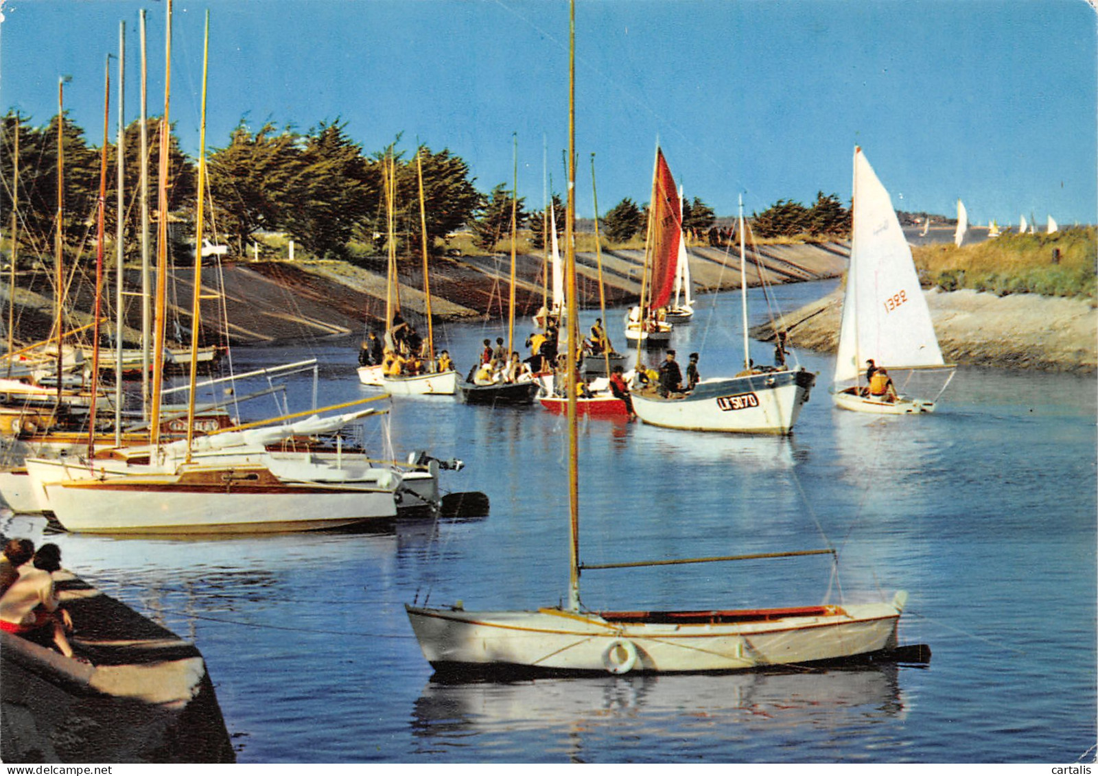 17-ILE DE RE-N°3781-B/0111 - Ile De Ré