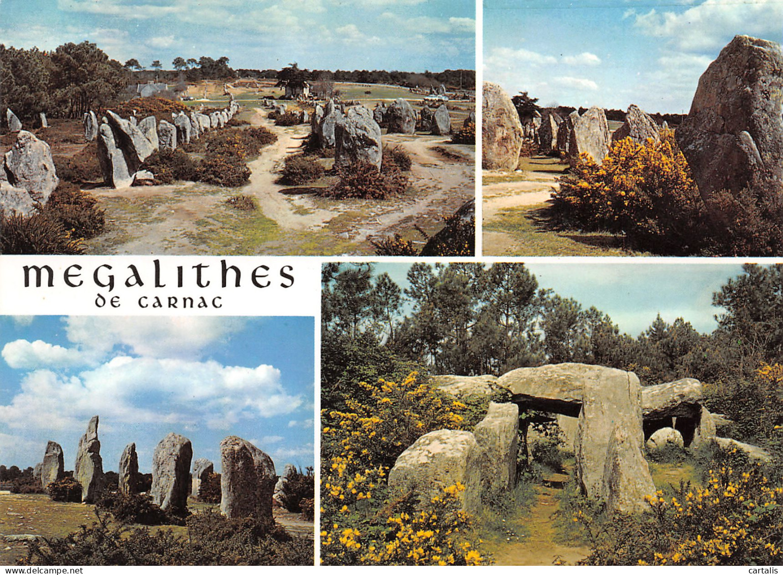 56-CARNAC-N°3781-A/0307 - Carnac