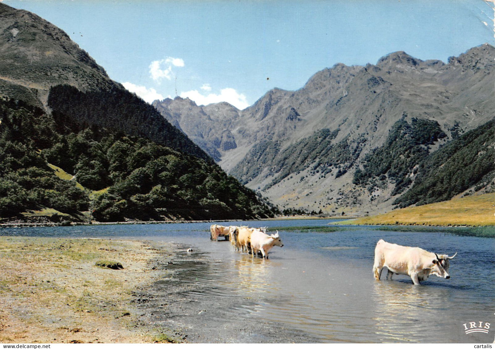 65-LAC D ESTAING-N°3781-A/0049 - Autres & Non Classés