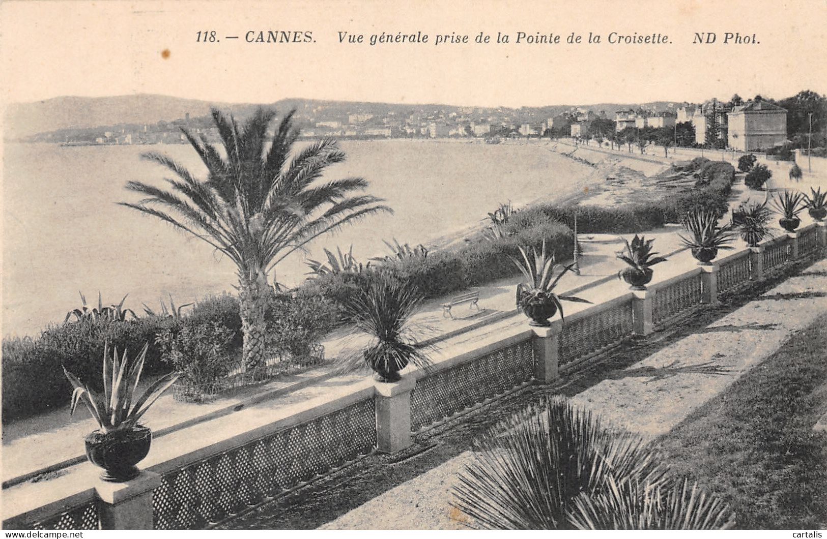 06-CANNES-N°3780-E/0031 - Cannes