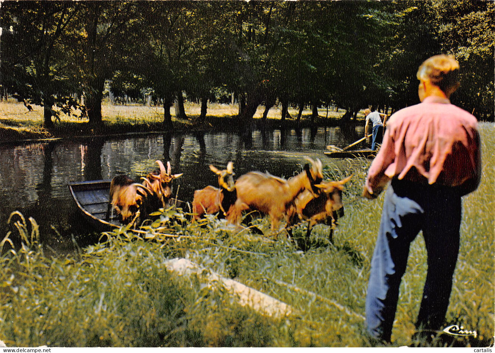 79-LE MARAIS POITEVIN-N°3781-D/0169 - Altri & Non Classificati