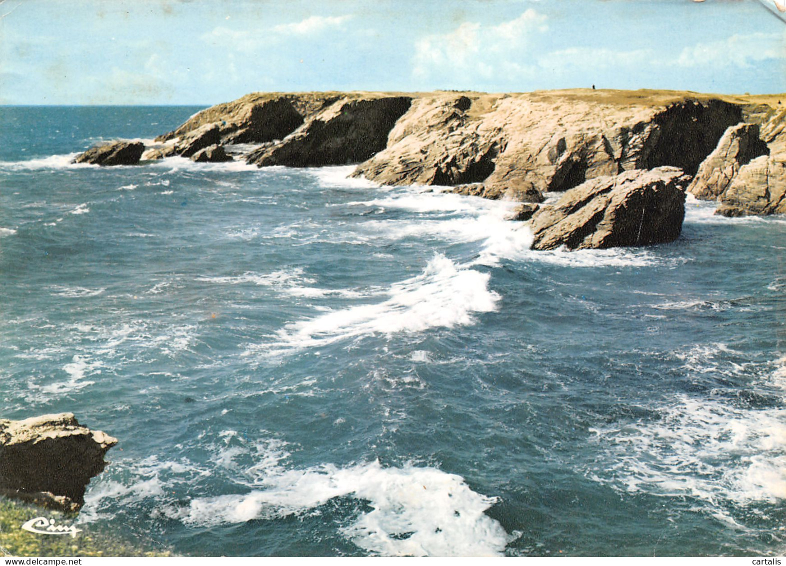 56-QUIBERON-N°3781-D/0079 - Quiberon