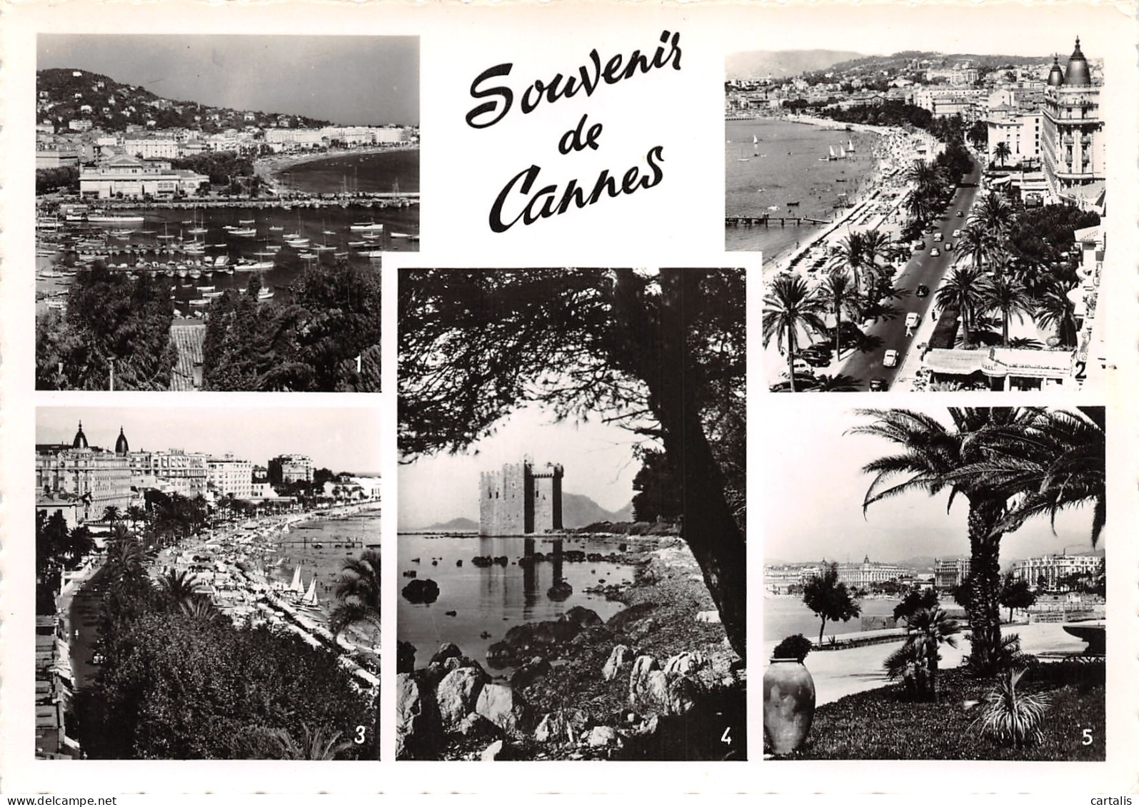 06-CANNES-N°3781-B/0367 - Cannes