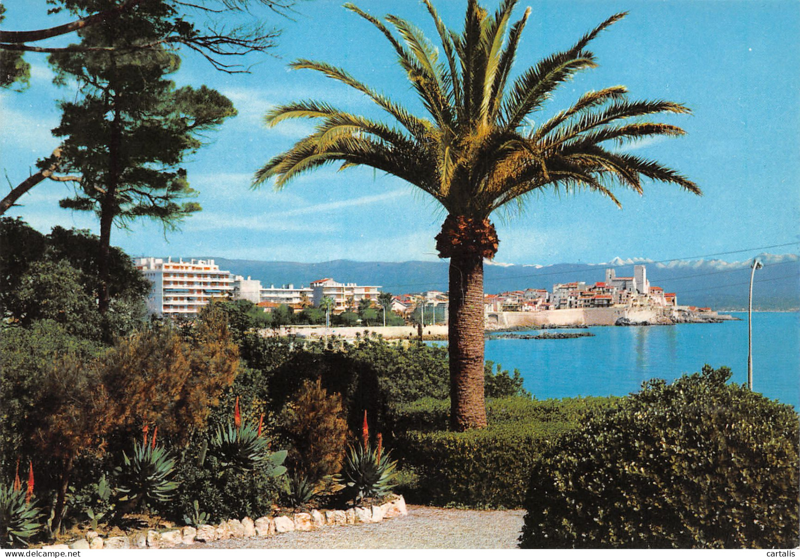 06-ANTIBES-N°3781-B/0145 - Autres & Non Classés