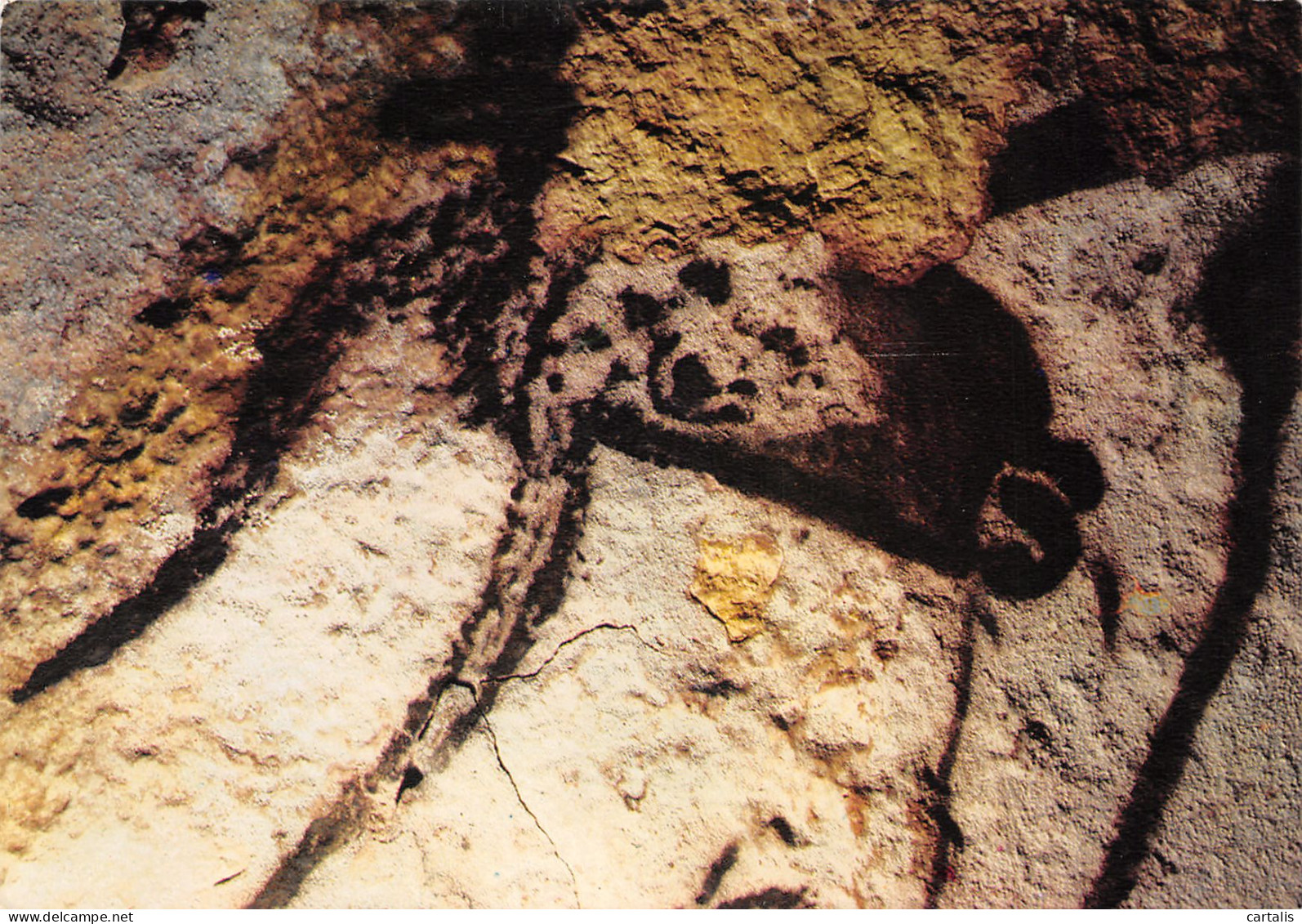 24-GROTTE DE LASCAUX-N°3782-B/0203 - Andere & Zonder Classificatie