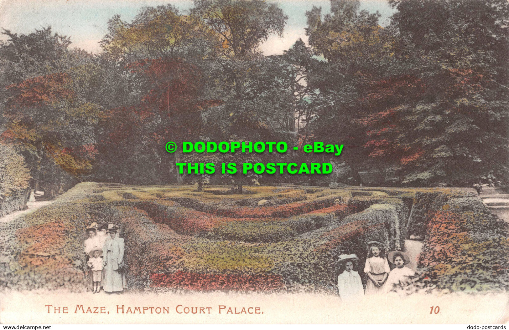 R531762 Hampton Court Palace. The Maze. Morland Studio. J. S. Catford - Wereld