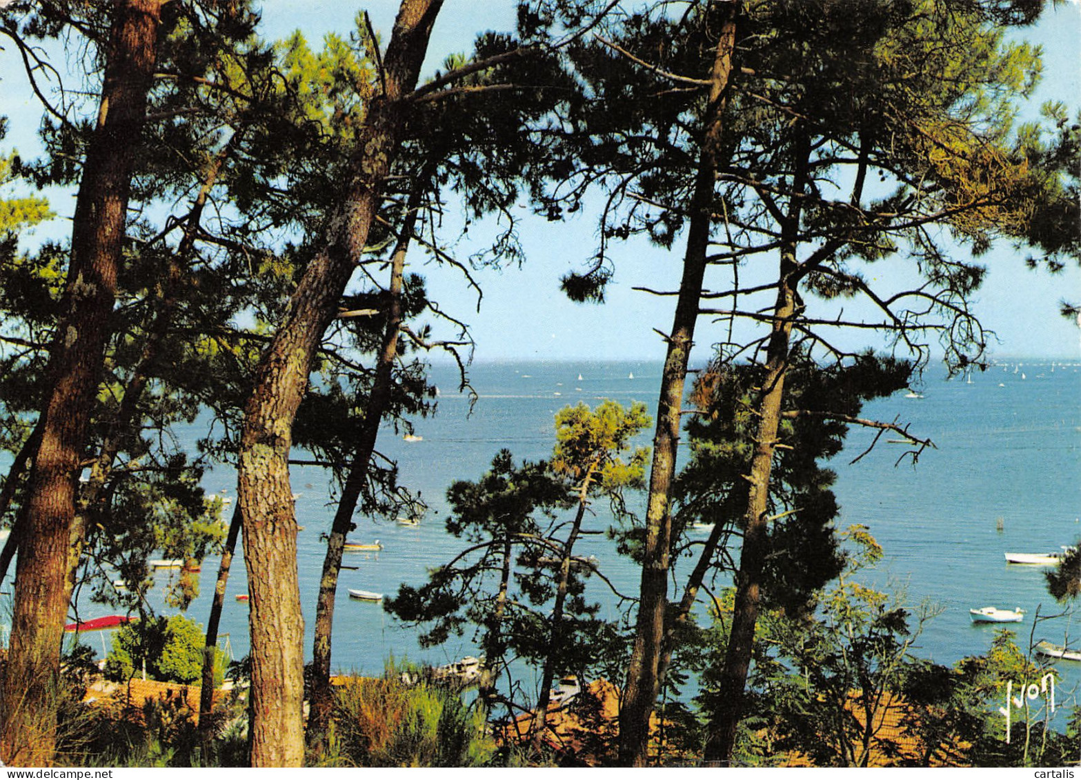 33-ARCACHON-N°3782-A/0377 - Arcachon