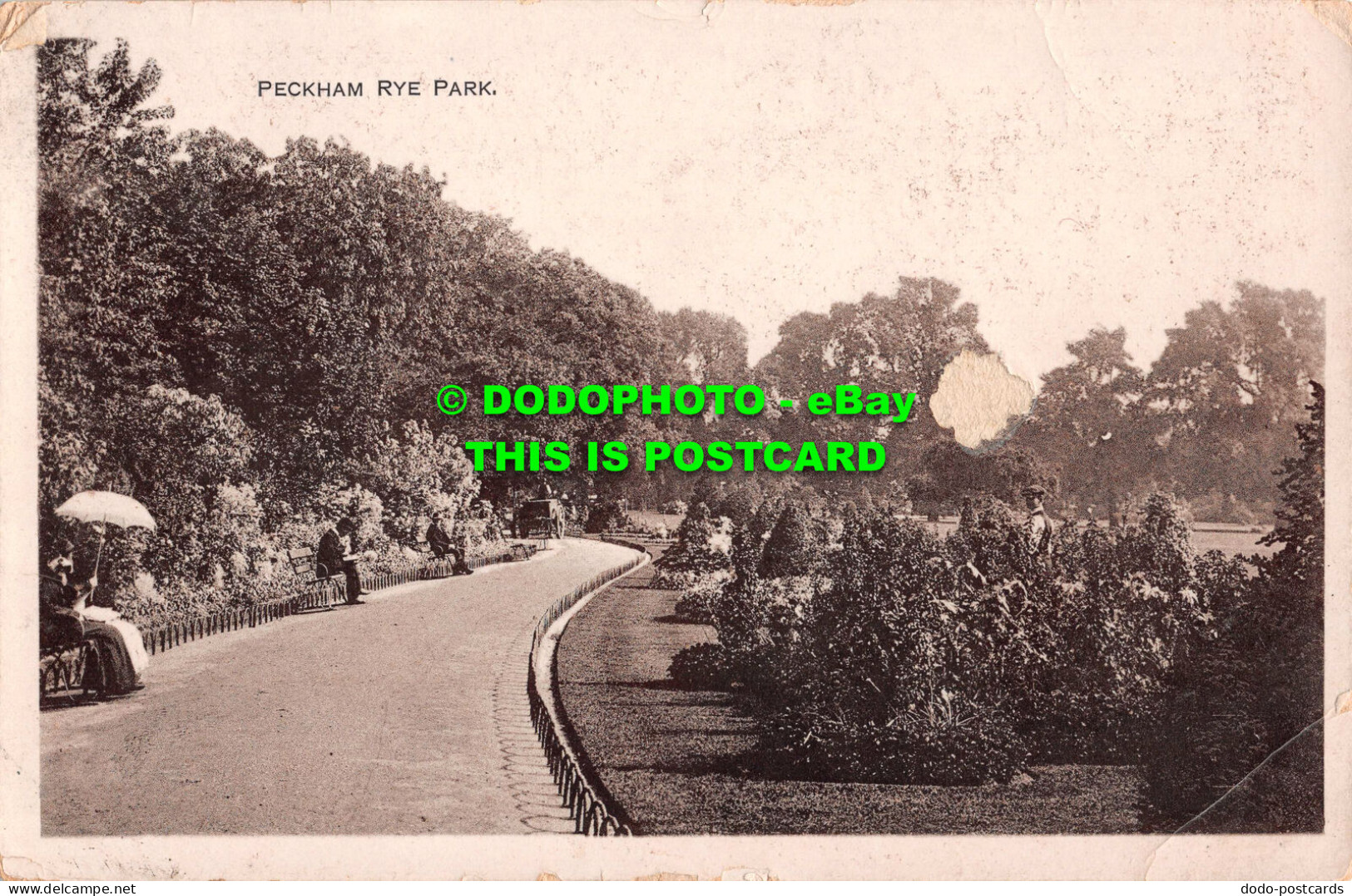 R531771 Peckham Rye Park. F. A. Finch. 1914 - Wereld