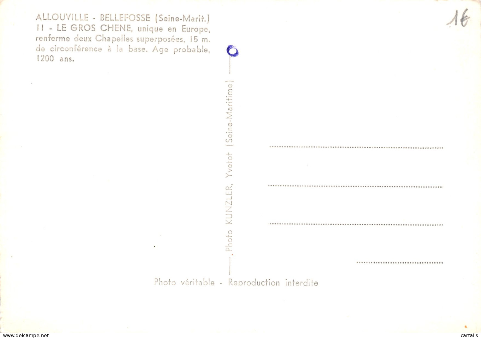 76-ALLOUVILLE-N°3782-A/0117 - Allouville-Bellefosse