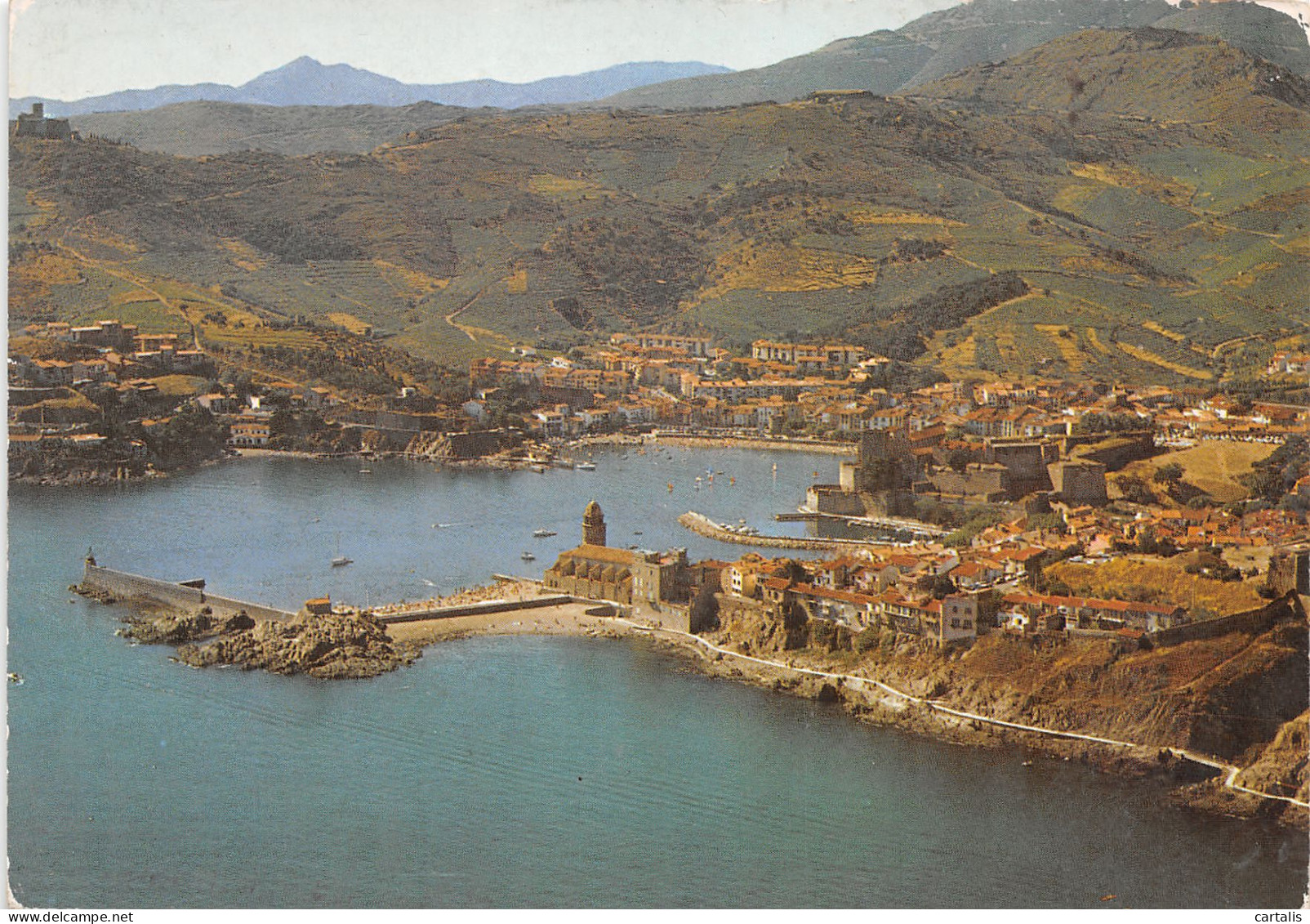 66-COLLIOURE-N°3782-A/0033 - Collioure