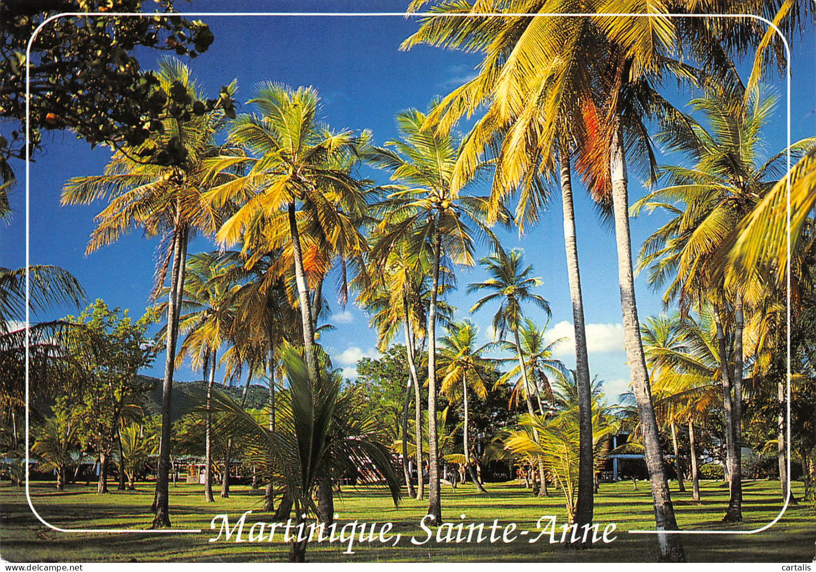 972-MARTINIQUE SAINTE ANNE-N°3782-D/0059 - Sonstige & Ohne Zuordnung