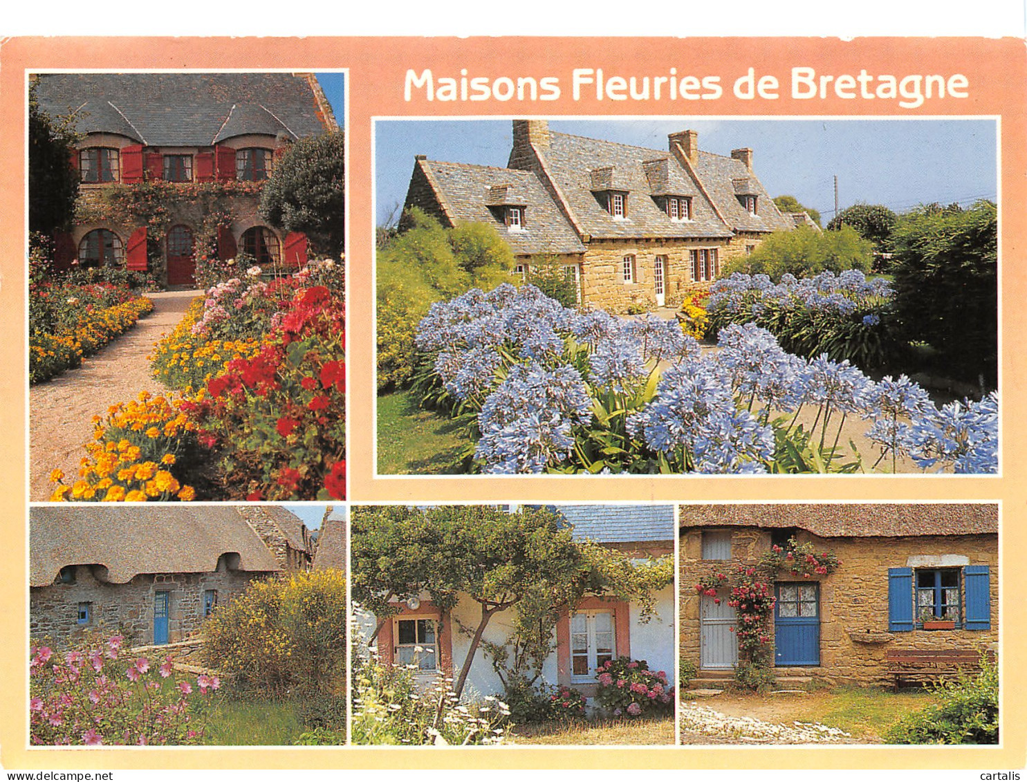 29-BRETAGNE MAISONS TYPIQUES-N°3782-C/0351 - Andere & Zonder Classificatie