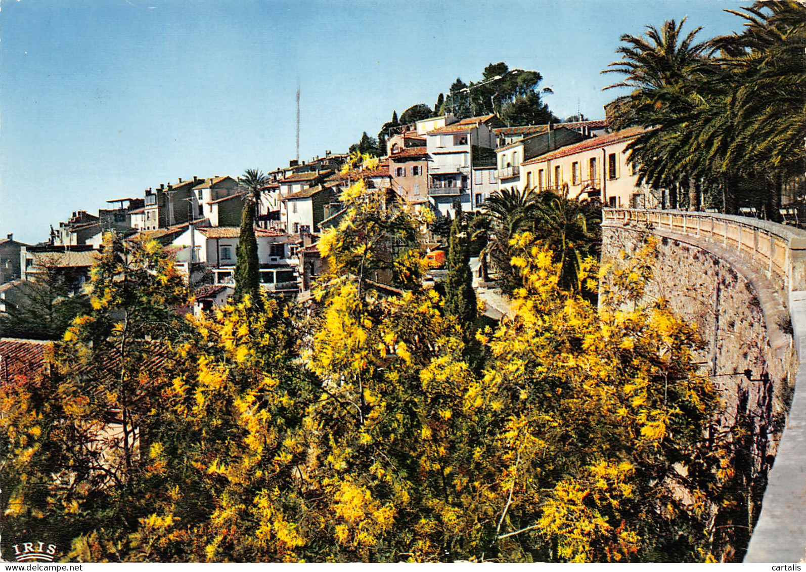 83-BORMES LES MIMOSAS-N°3782-C/0321 - Bormes-les-Mimosas