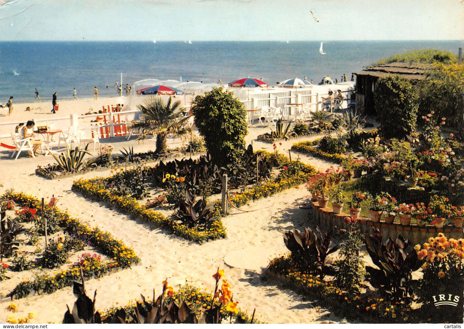 85-LA TRANCHE SUR MER-N°3782-C/0245 - La Tranche Sur Mer