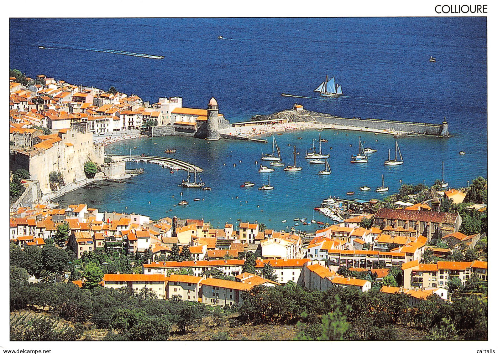 66-COLLIOURE-N°3782-C/0211 - Collioure