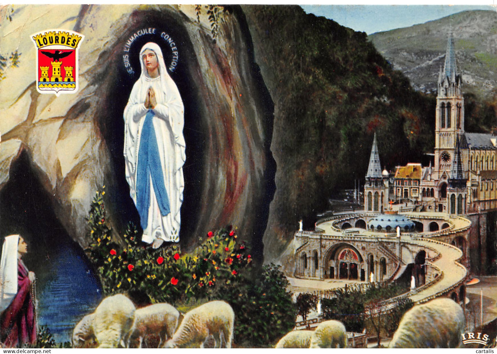 65-LOURDES-N°3782-C/0075 - Lourdes