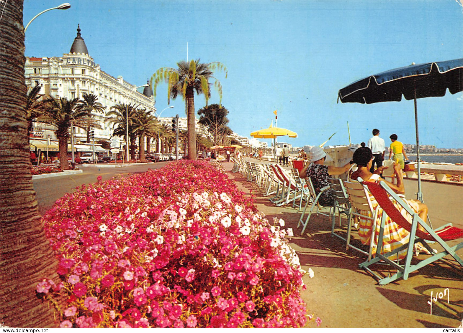 06-CANNES-N°3782-C/0063 - Cannes