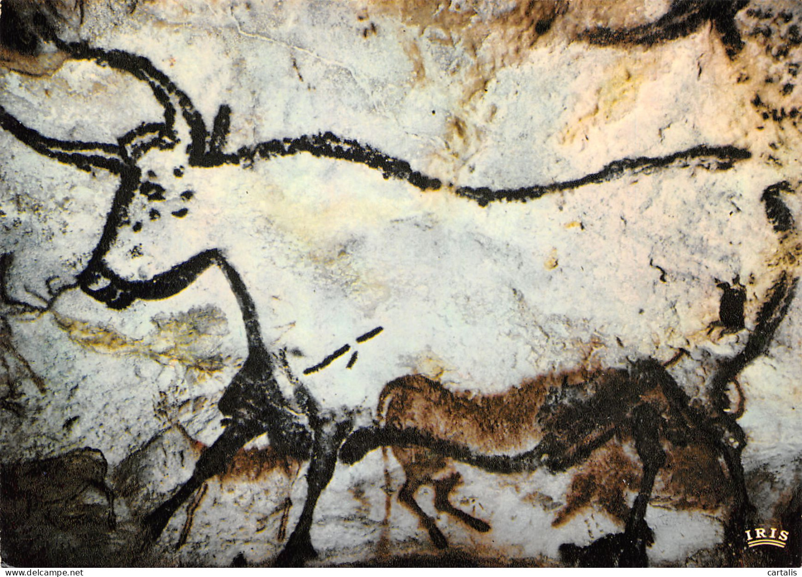 24-GROTTE DE LASCAUX-N°3782-B/0267 - Andere & Zonder Classificatie