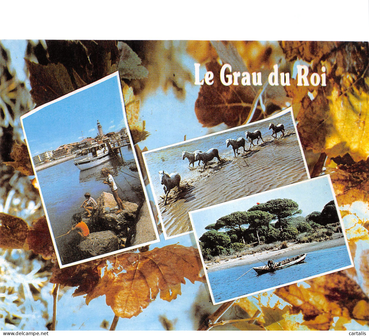 30-LE GRAU DU ROI-N°3782-B/0213 - Le Grau-du-Roi