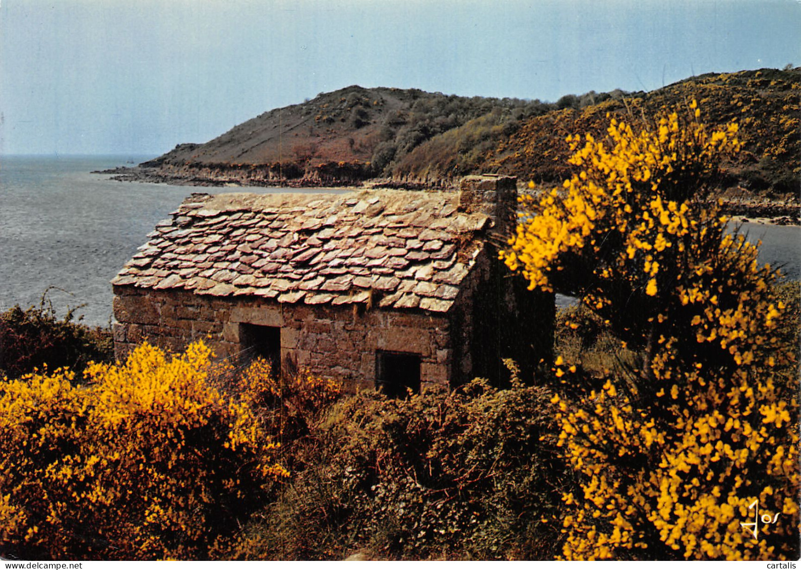 29-CABANE DU DOUANIER-N°3783-B/0223 - Sonstige & Ohne Zuordnung