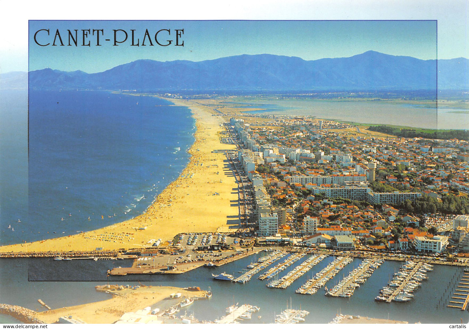 66-CANET PLAGE-N°3783-B/0131 - Canet Plage