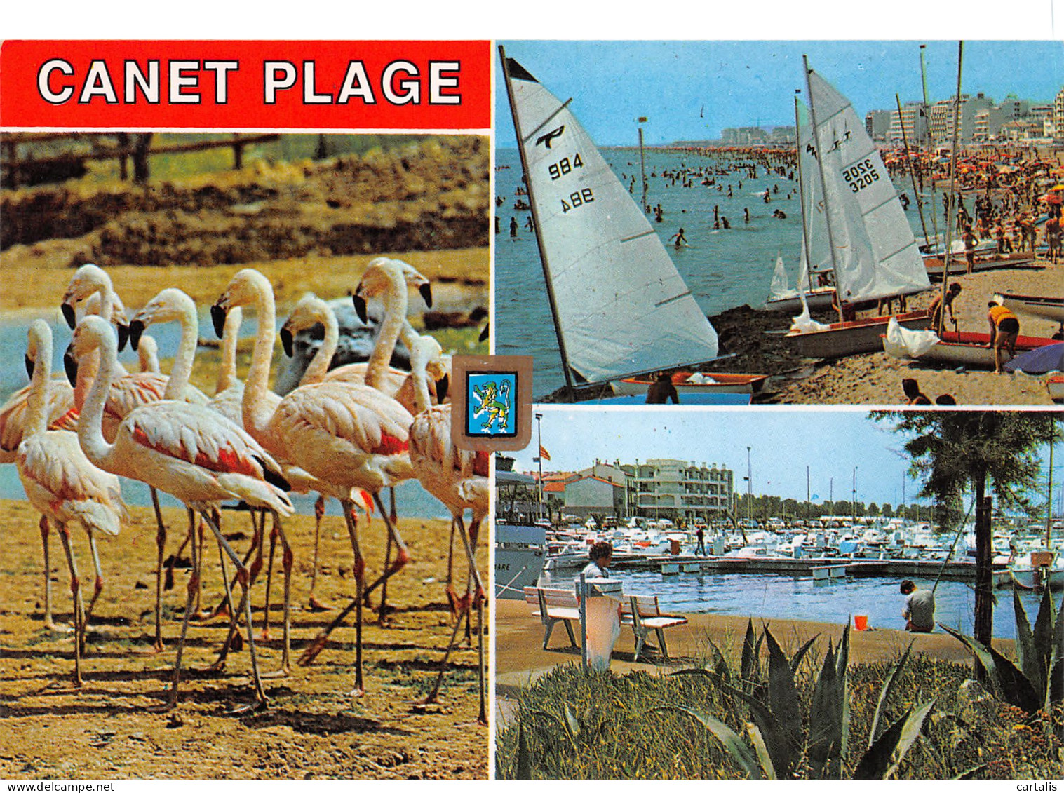 66-CANET PLAGE-N°3783-B/0103 - Canet Plage