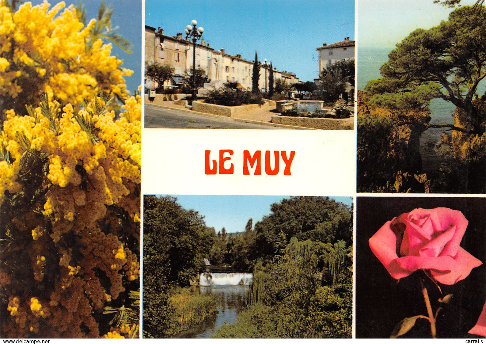 83-LE MUY-N°3783-B/0083 - Le Muy