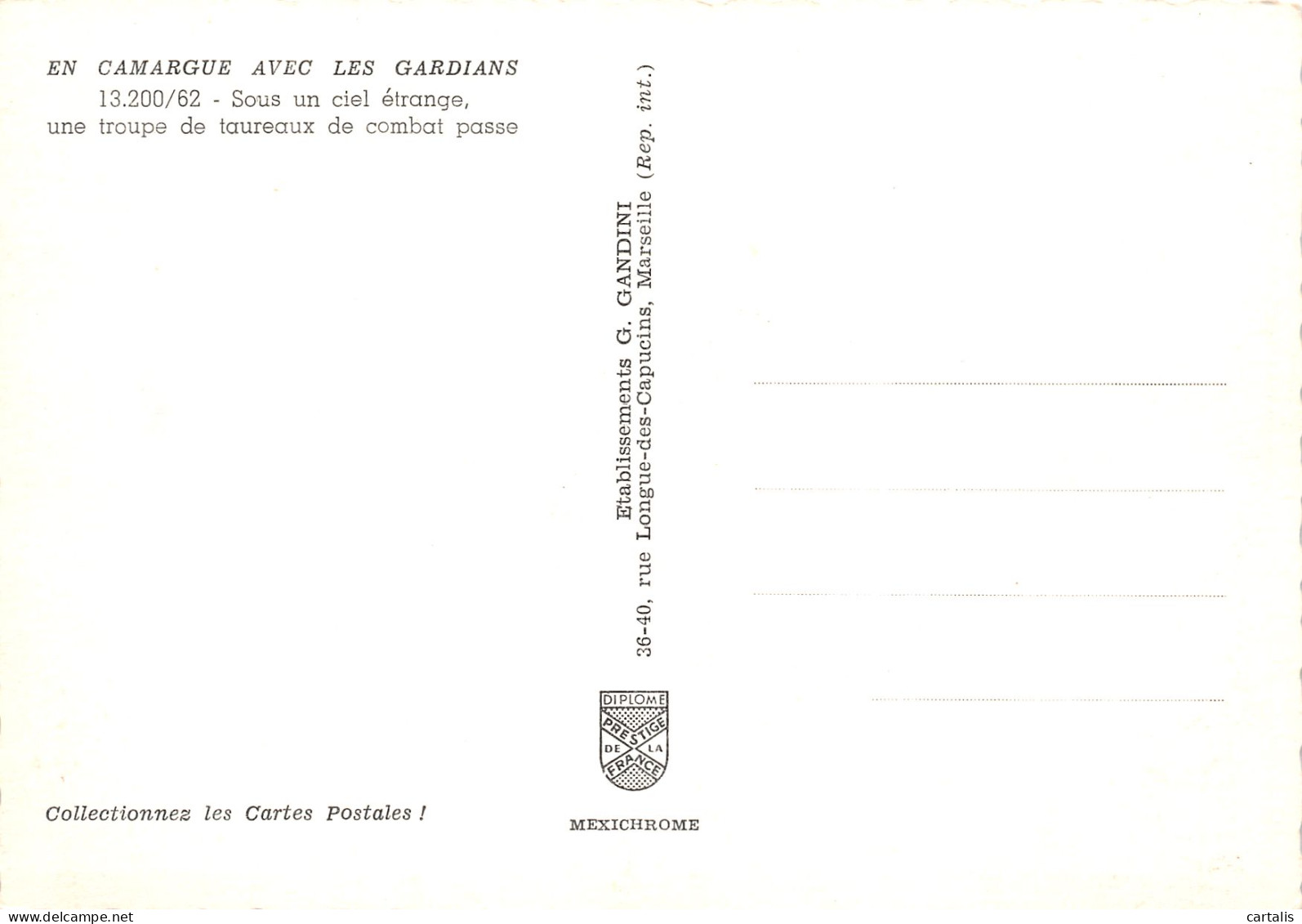 13-CAMARGUE-N°3783-A/0227 - Other & Unclassified