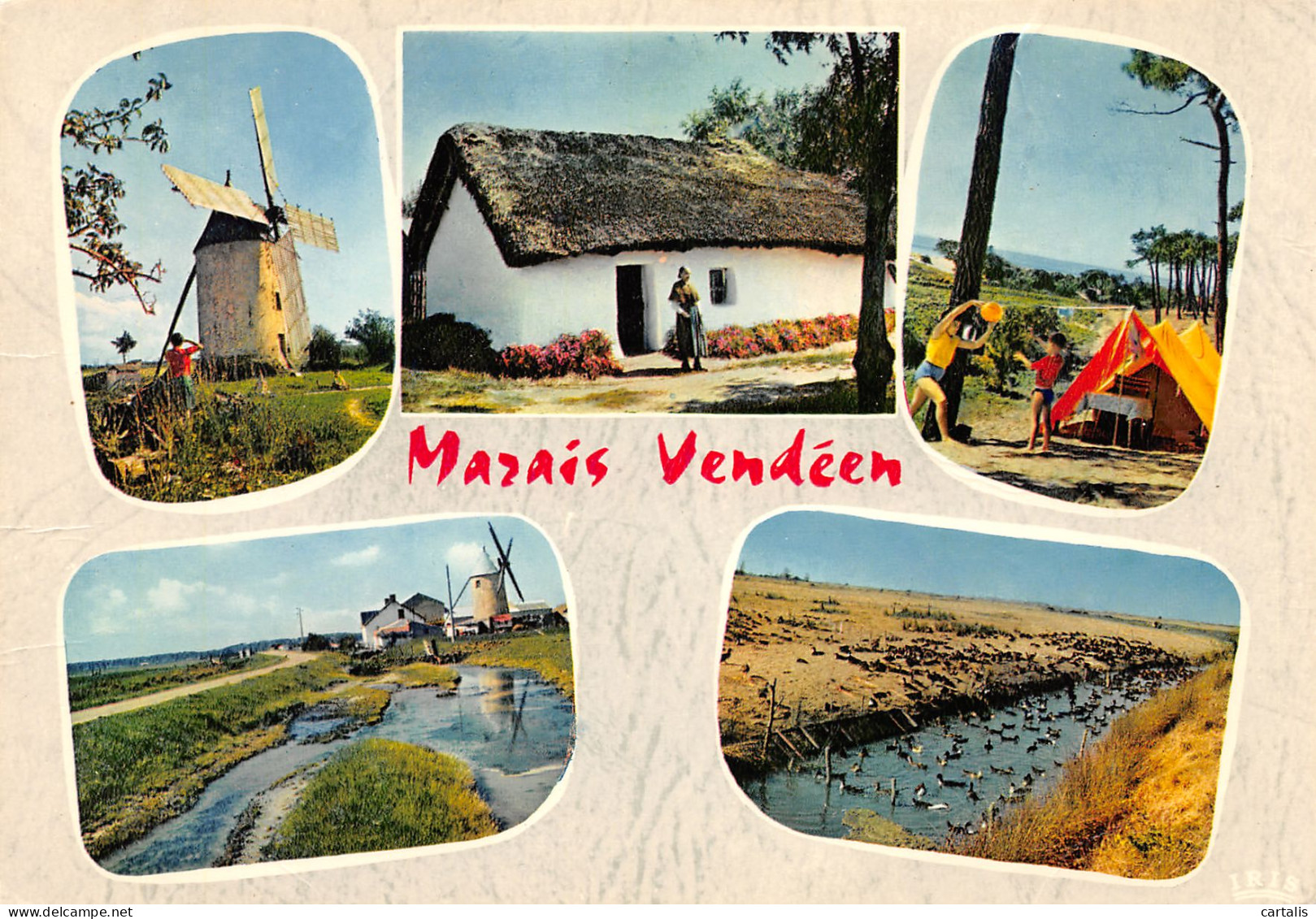 85-MARAIS VENDEENS-N°3783-A/0183 - Sonstige & Ohne Zuordnung