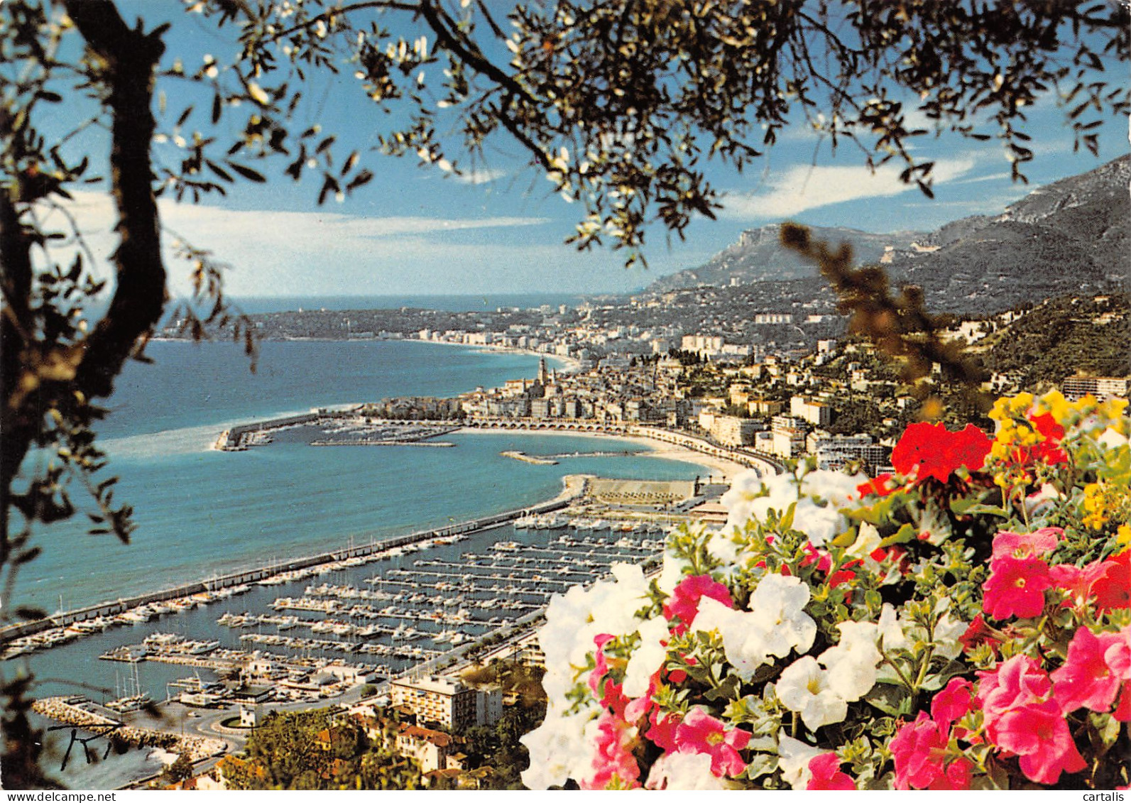 06-MENTON-N°3783-D/0017 - Menton