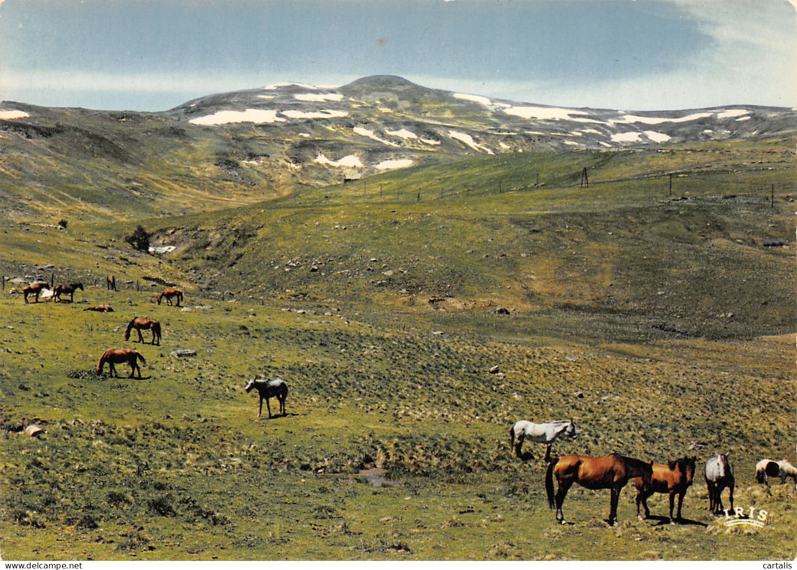 15-PLOMB DU CANTAL-N°3783-B/0277 - Otros & Sin Clasificación