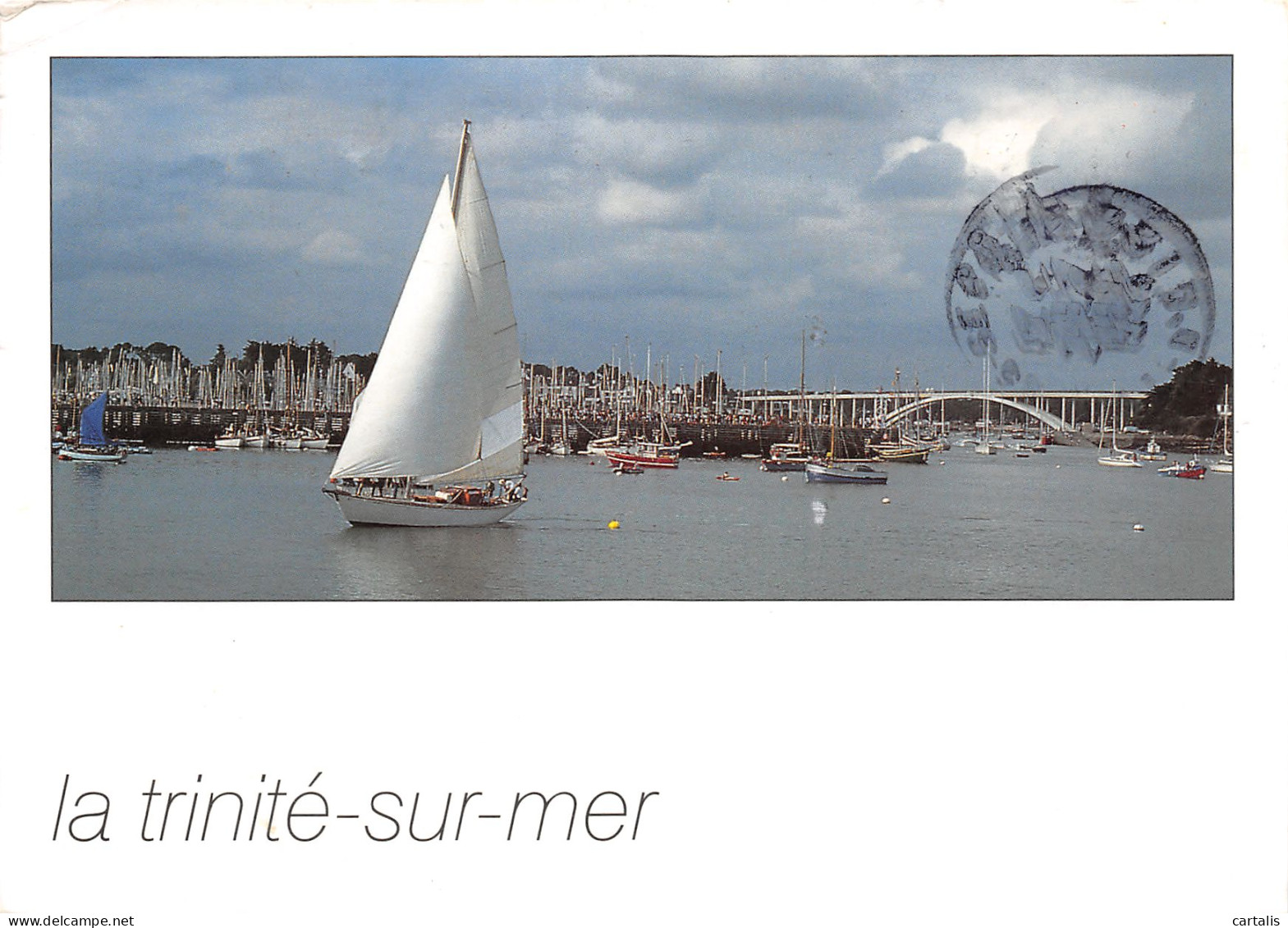 56-LA TRINITE SUR MER-N°3784-B/0179 - La Trinite Sur Mer