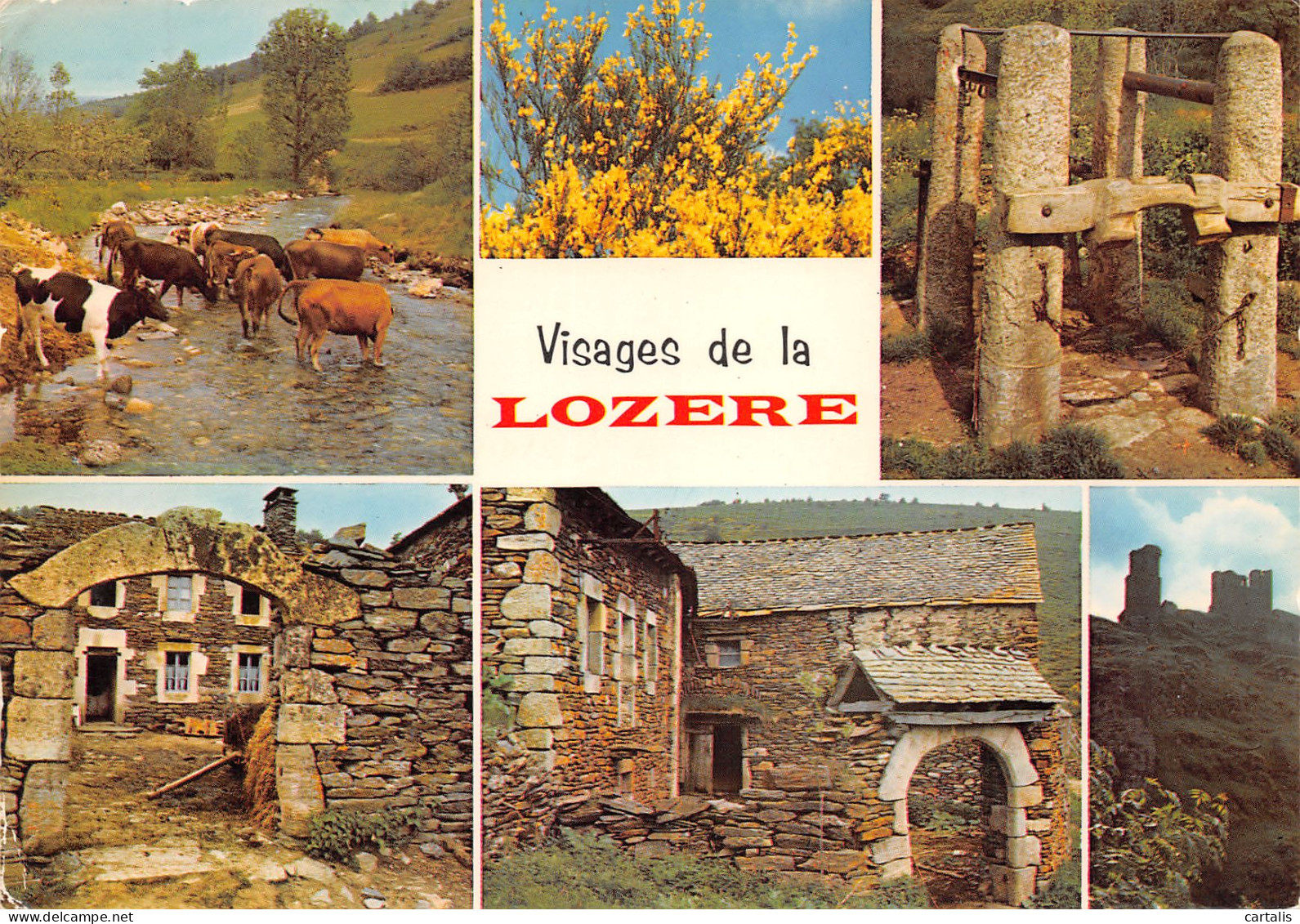 48-LOZERE MULTI VUES-N°3784-B/0049 - Other & Unclassified