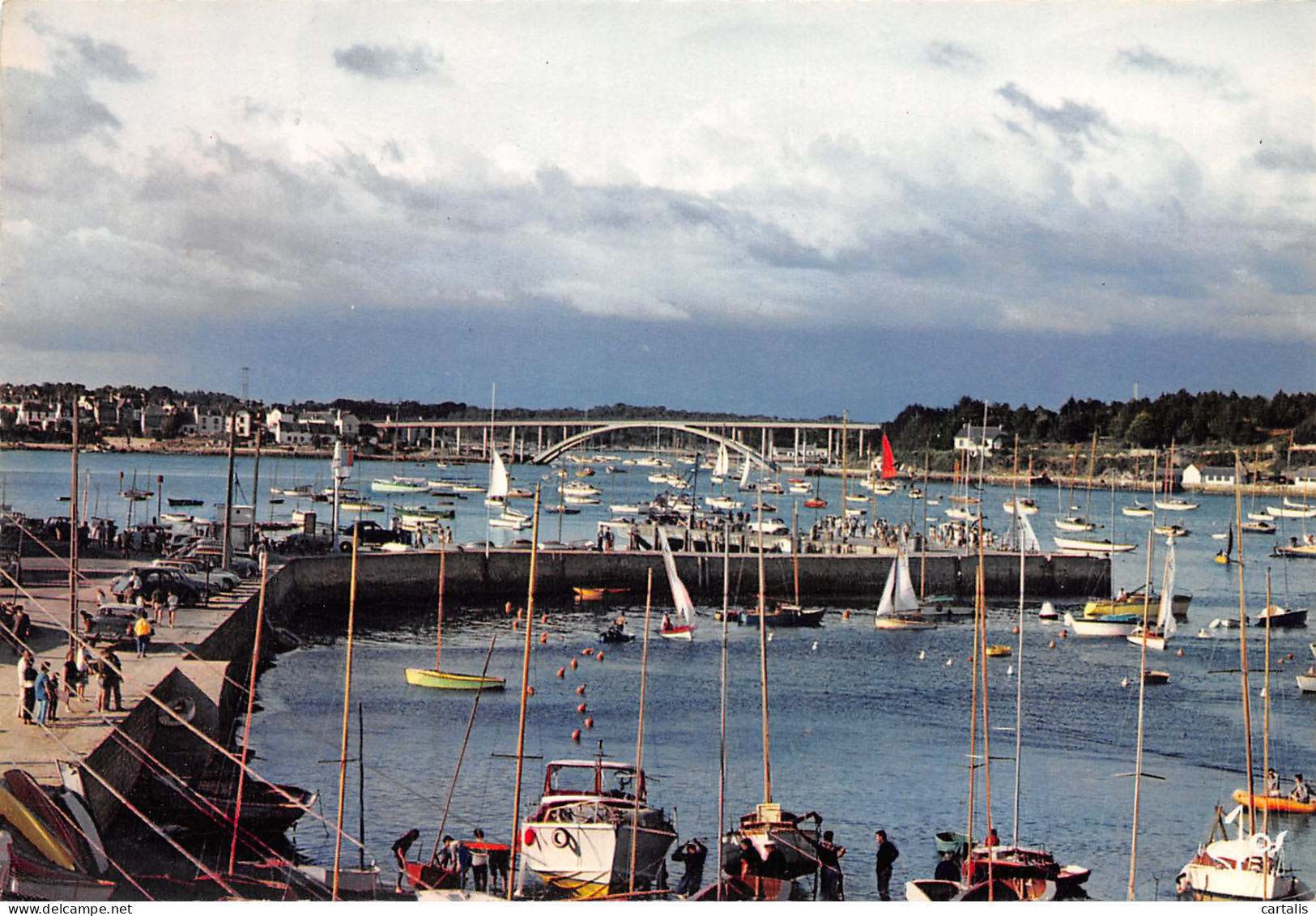 56-LA TRINITE SUR MER-N°3784-A/0119 - La Trinite Sur Mer