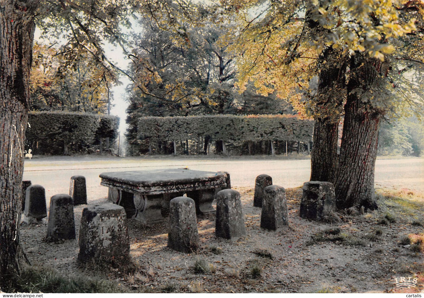 77-FONTAINEBLEAU-N°3784-A/0045 - Fontainebleau