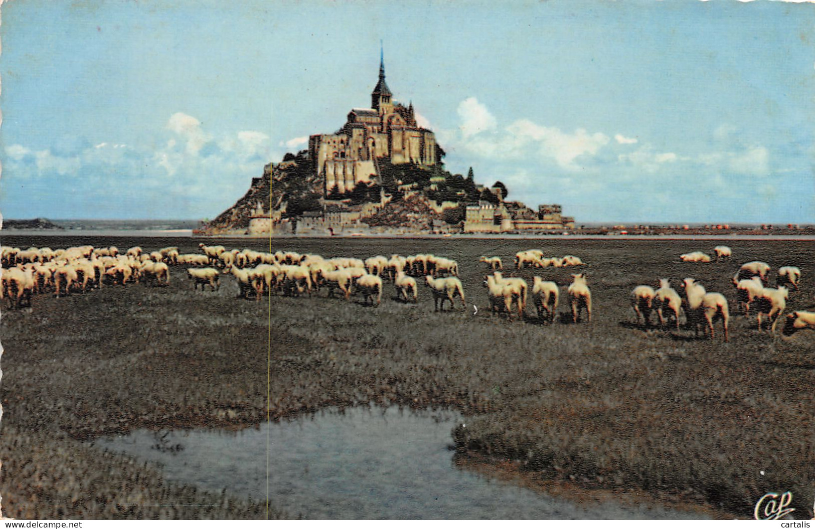 50-LE MONT SAINT MICHEL-N°3785-A/0185 - Le Mont Saint Michel