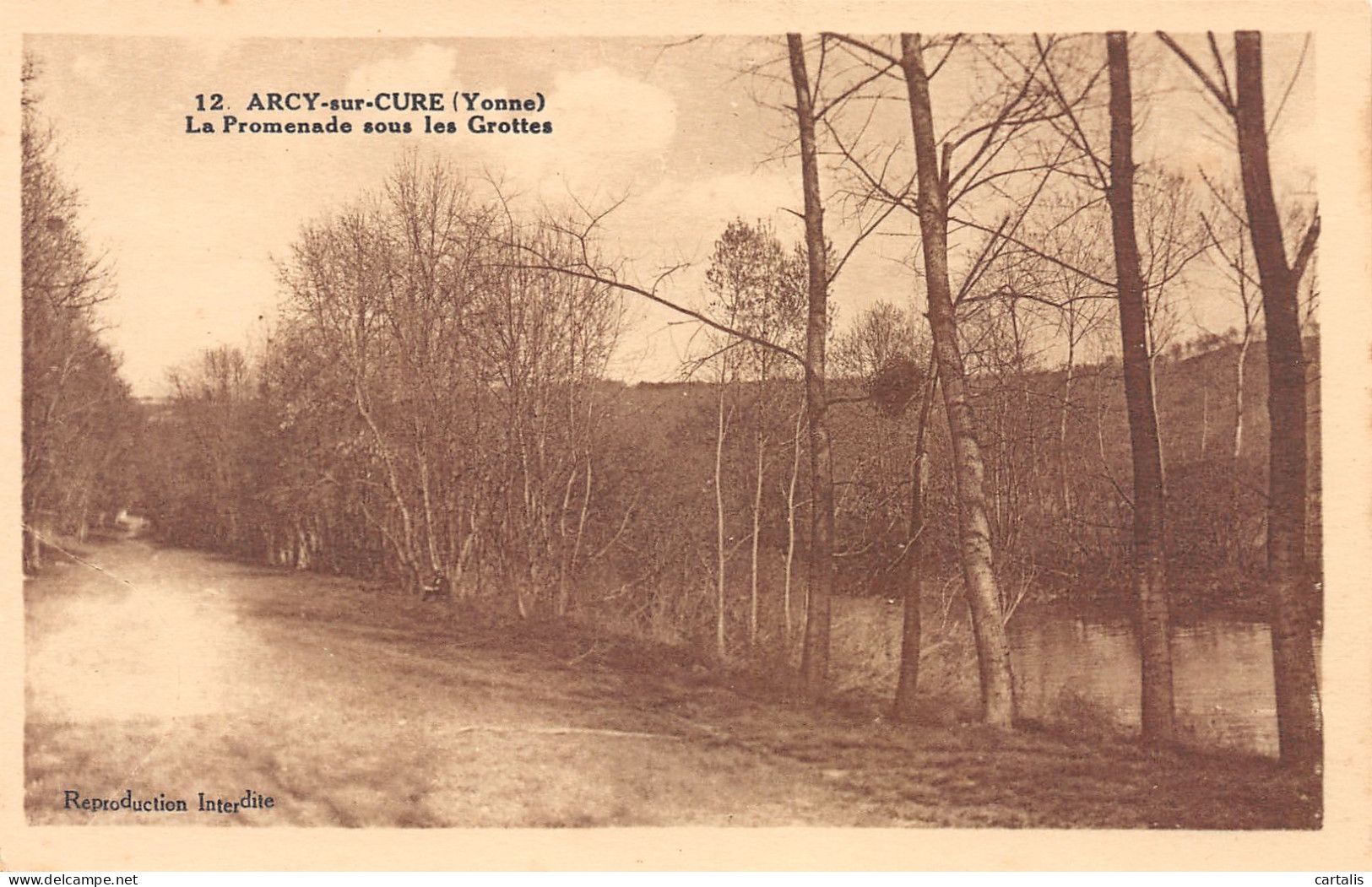 89-ARCY SUR CURE-N°3785-D/0387 - Other & Unclassified