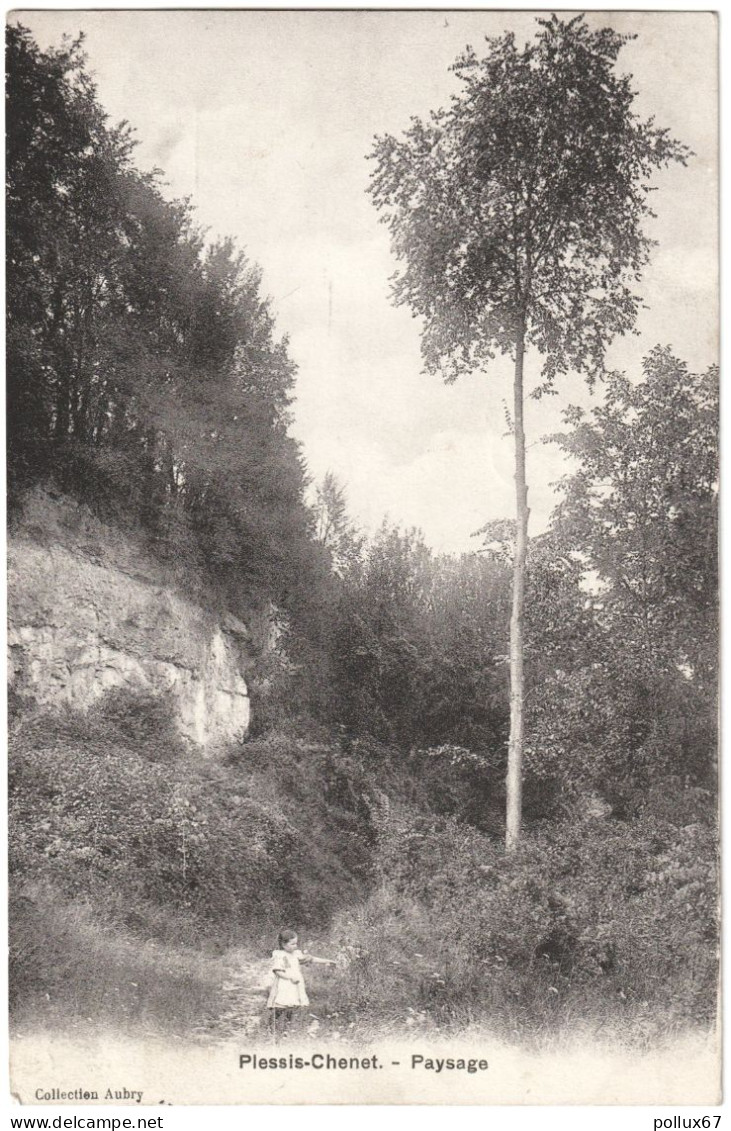 CPA LE PLESSIS-CHENET  (ESSONNE)  PAYSAGE - Autres & Non Classés