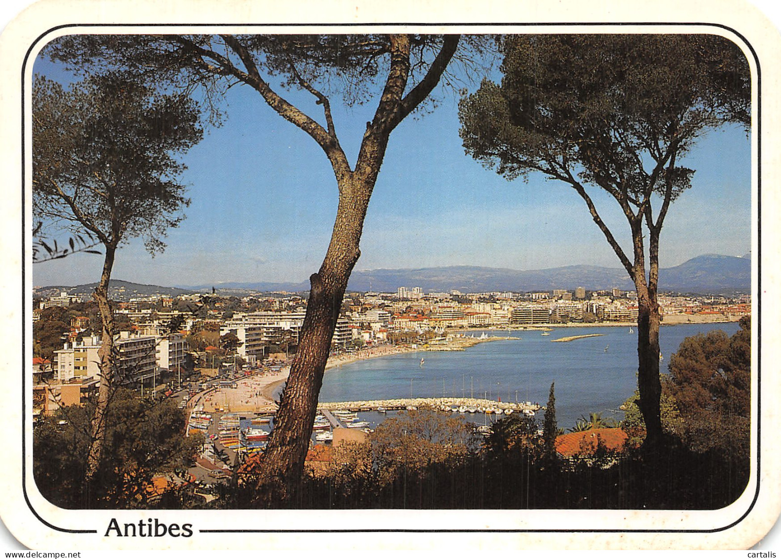 06-ANTIBES-N° 4419-C/0105 - Autres & Non Classés