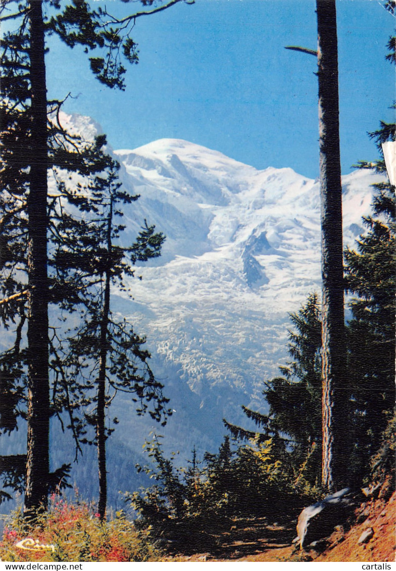 74-LE MONT BLANC-N° 4419-C/0091 - Andere & Zonder Classificatie