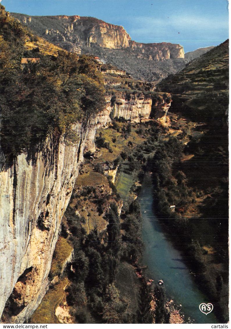 48-GORGES DE LA JONTE -N° 4419-C/0053 - Autres & Non Classés