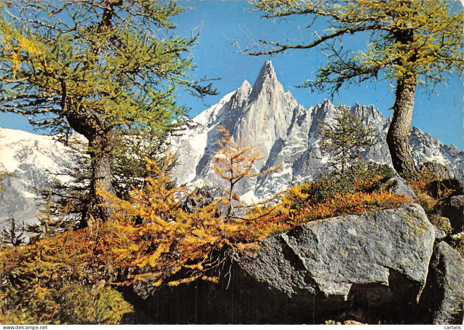 74-CHAMONIX MONT BLANC-N° 4419-C/0037 - Chamonix-Mont-Blanc