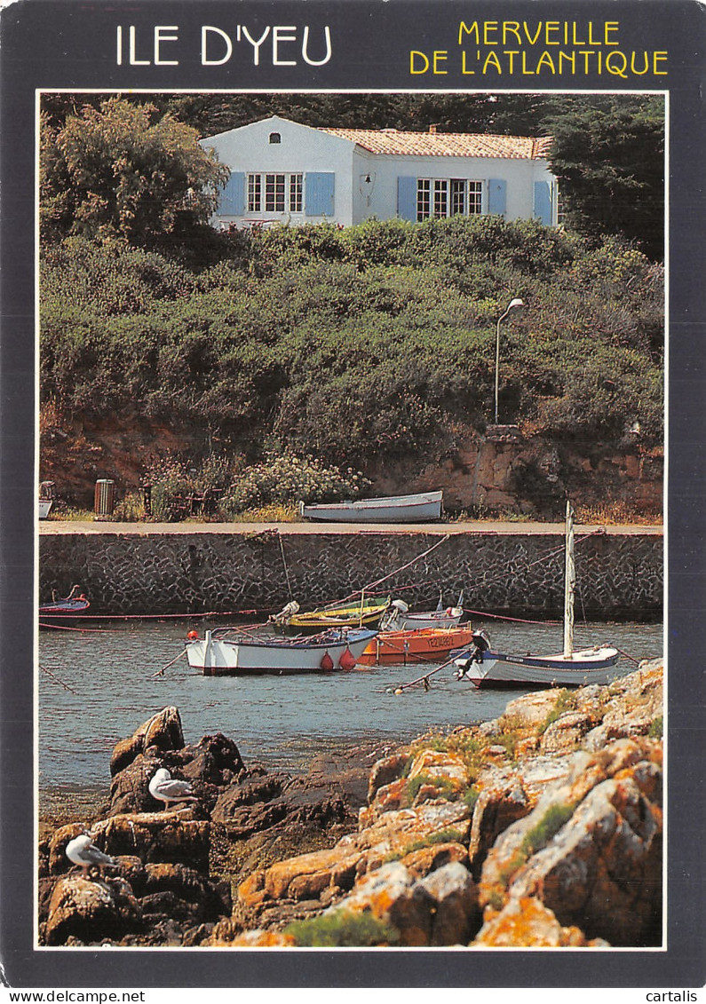 85-ILE D YEU-N° 4419-B/0311 - Ile D'Yeu